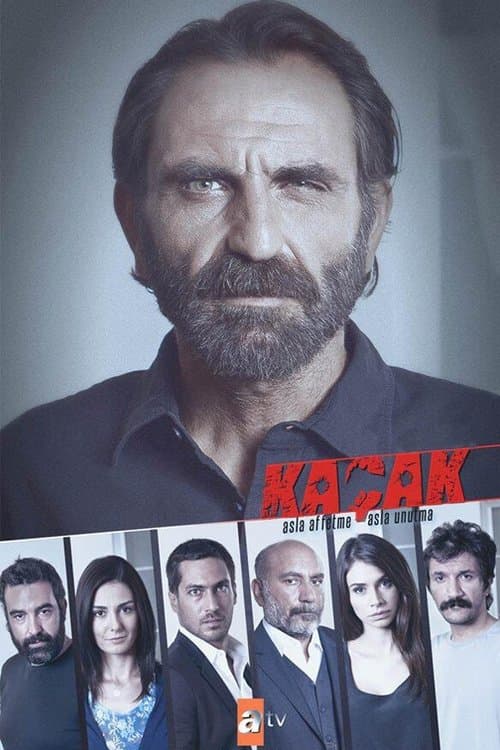 Постер: Беглец
