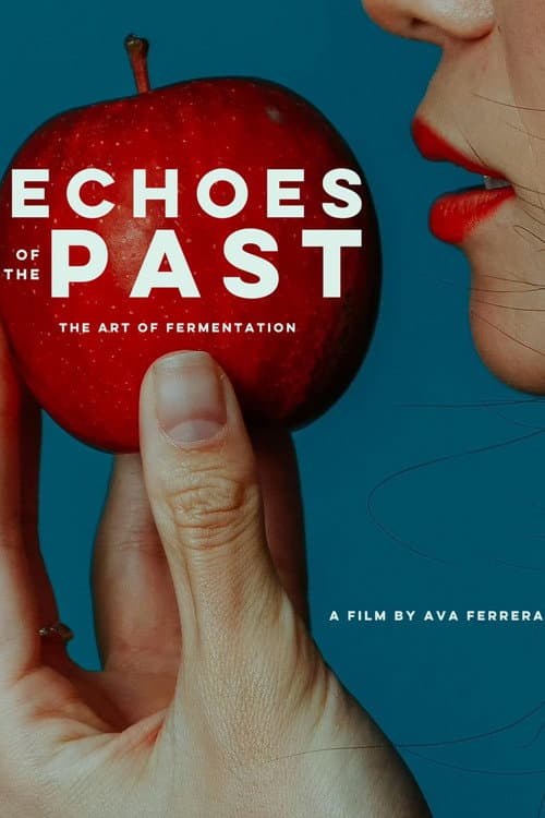 Постер: Echoes of the Past