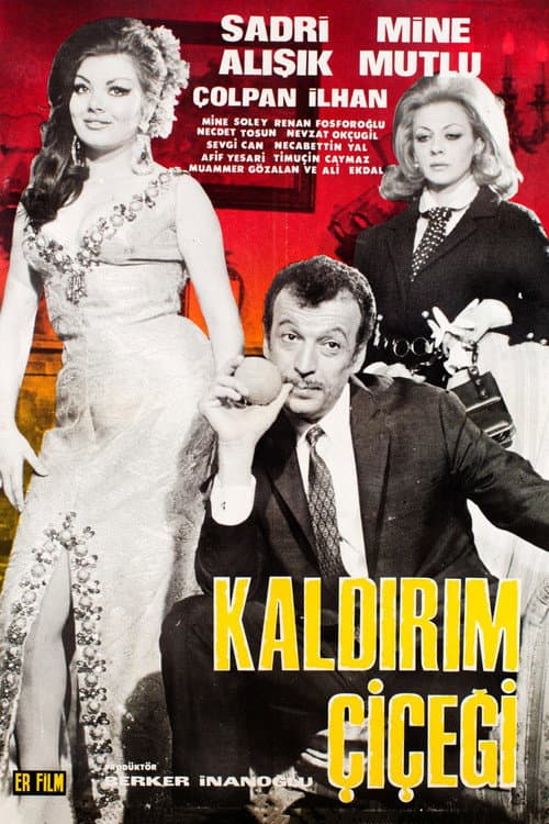 Постер: Kaldırım Çiçeği