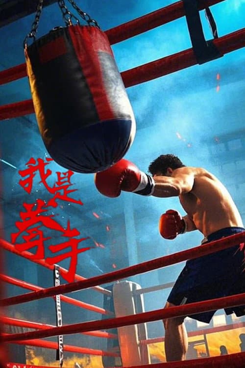 Постер: 我是拳手