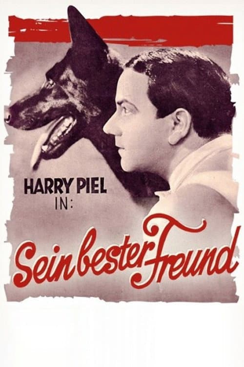 Постер: Sein bester Freund