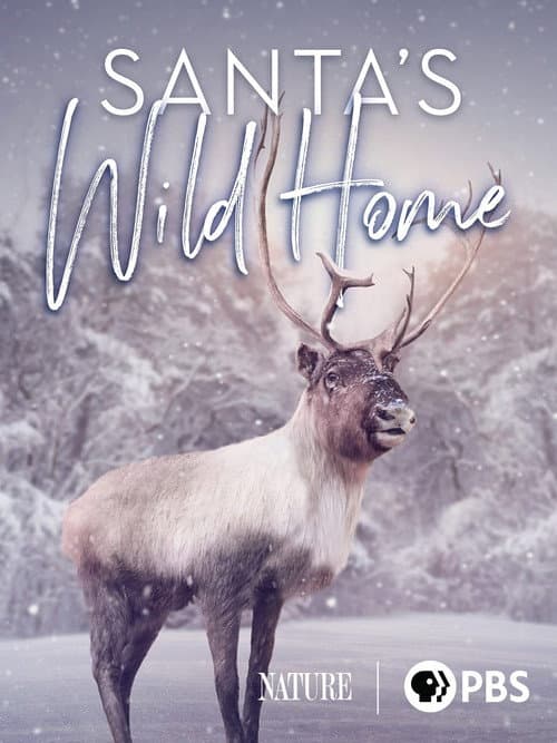 Постер: Santa's Wild Home