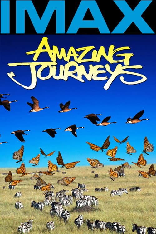Постер: Amazing Journeys