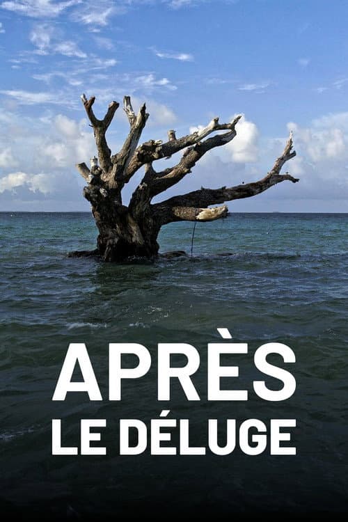 Постер: Après le déluge