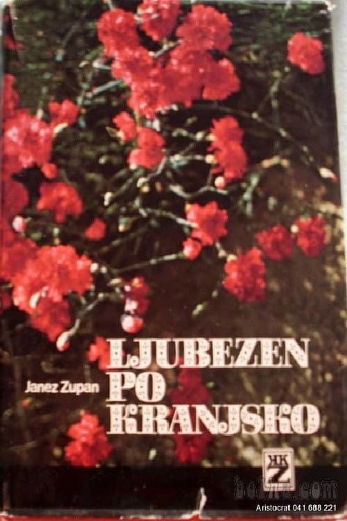 Постер: Ljubezen po kranjsko