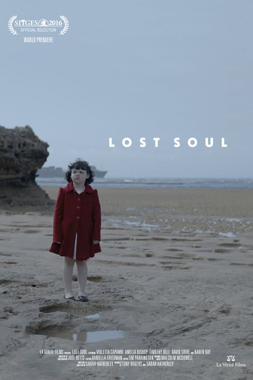 Постер: Lost Soul