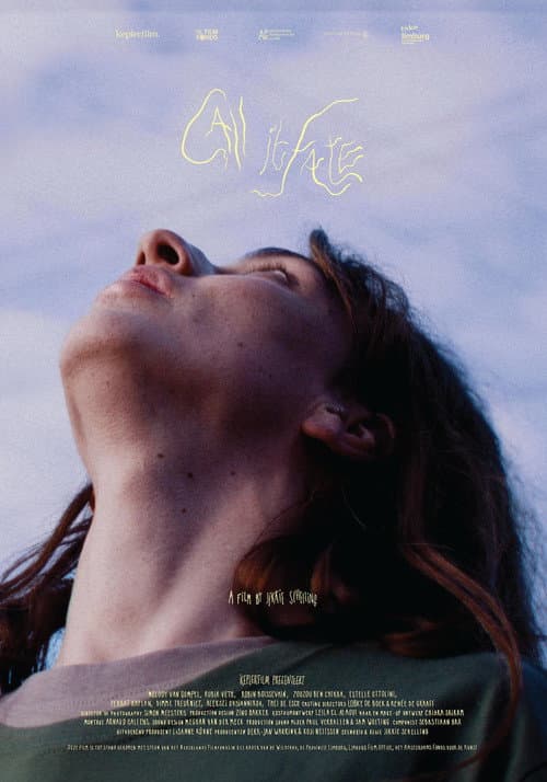 Постер: Call it Fate