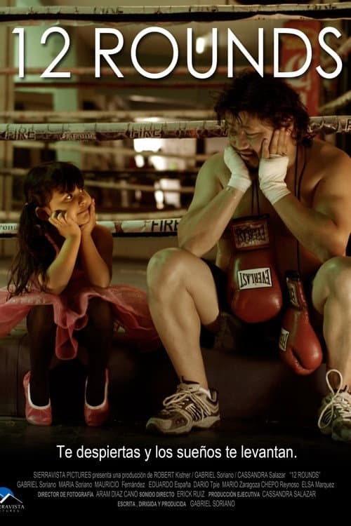 Постер: 12 Rounds