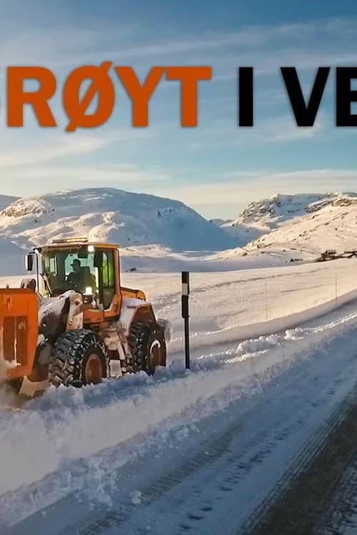 Постер: Brøyt i vei