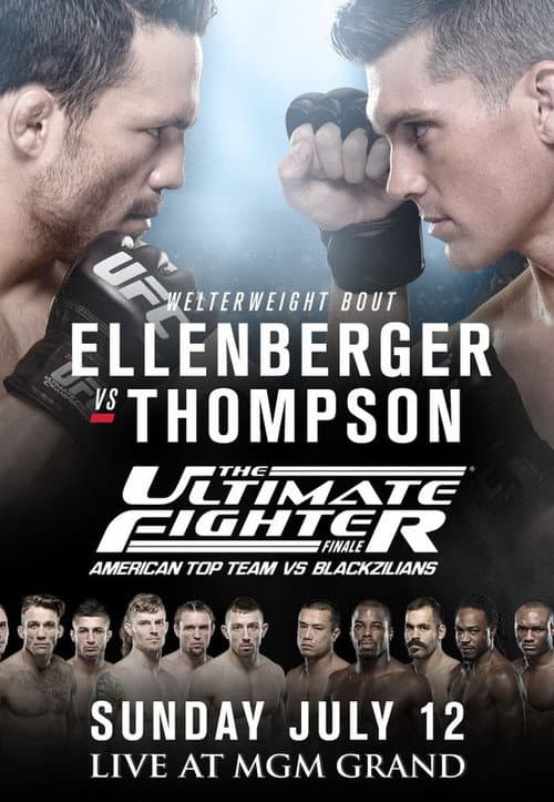 Постер: The Ultimate Fighter 21 Finale