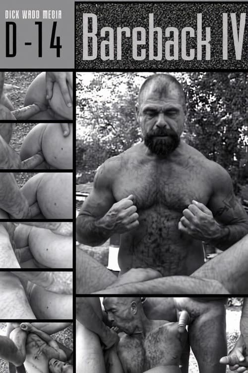 Постер: Bareback 4: Huge Poles, Hungry Holes