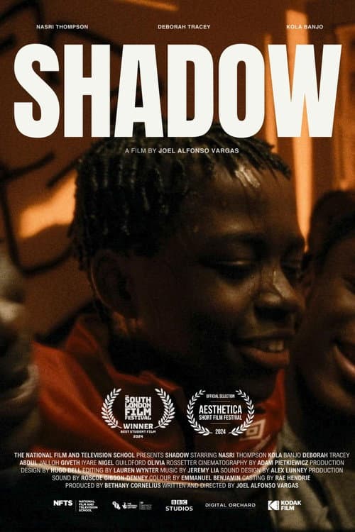 Постер: Shadow