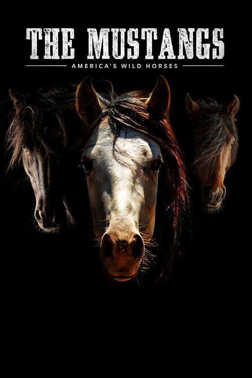 Постер: The Mustangs: America's Wild Horses