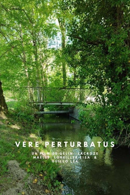 Постер: Vere Perturbatus