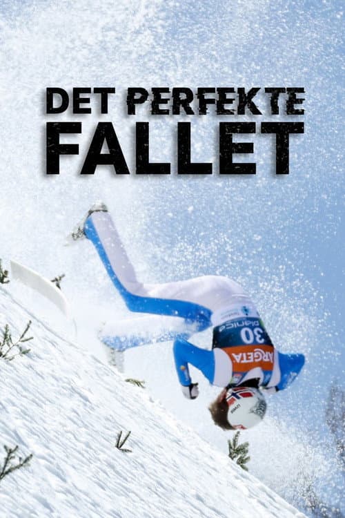 Постер: Det perfekte fallet