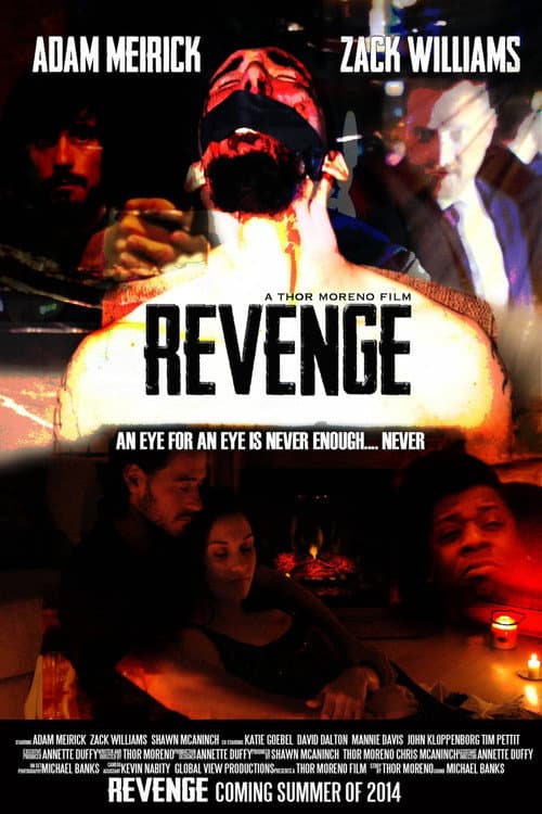 Постер: Revenge: A Love Story