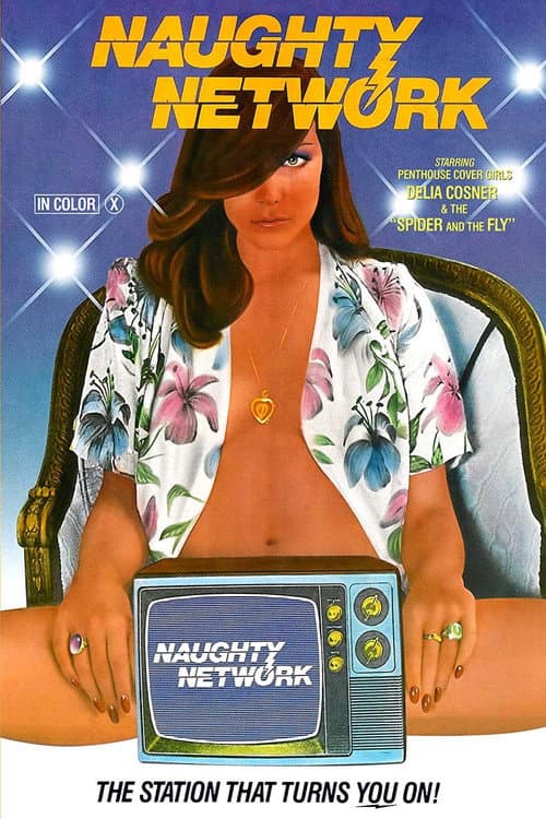 Постер: Naughty Network