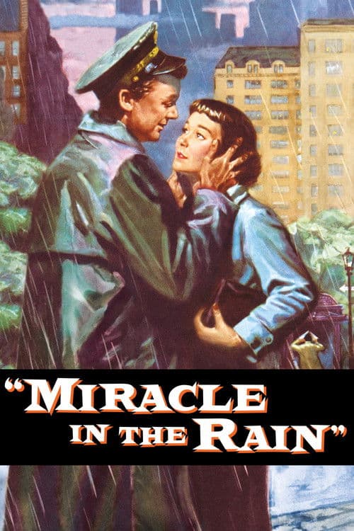 Постер: Miracle in the Rain