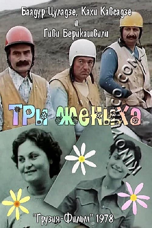 Постер: Три жениха