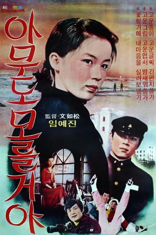 Постер: 아무도 모를꺼야