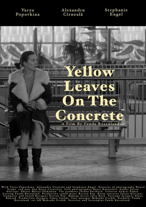 Постер: Yellow leaves on the concrete