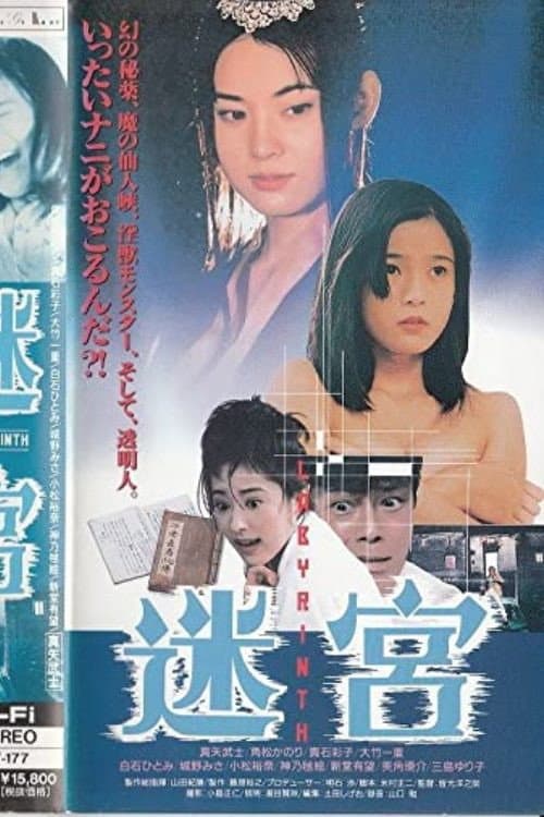 Постер: 迷宮