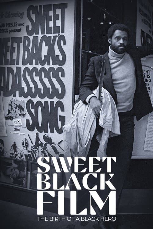 Постер: Naissance d'un héros noir au cinéma : Sweet Sweetback