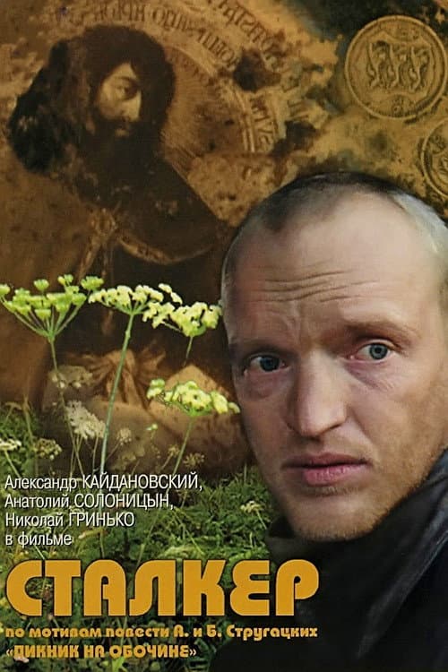 Кадр 13