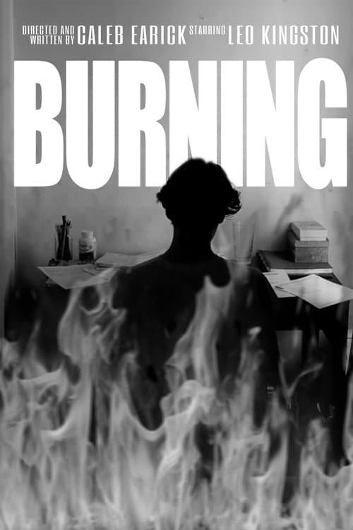 Постер: Burning