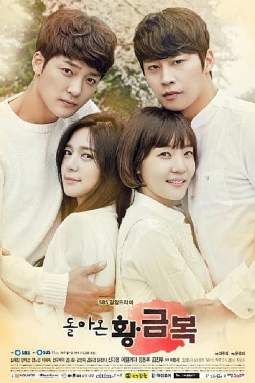 Постер: 돌아온 황금복