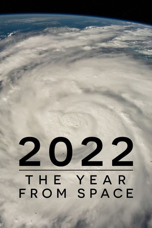 Постер: 2022: The Year from Space