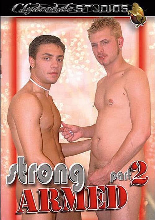 Постер: Strong Armed 2