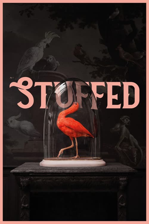 Постер: Stuffed