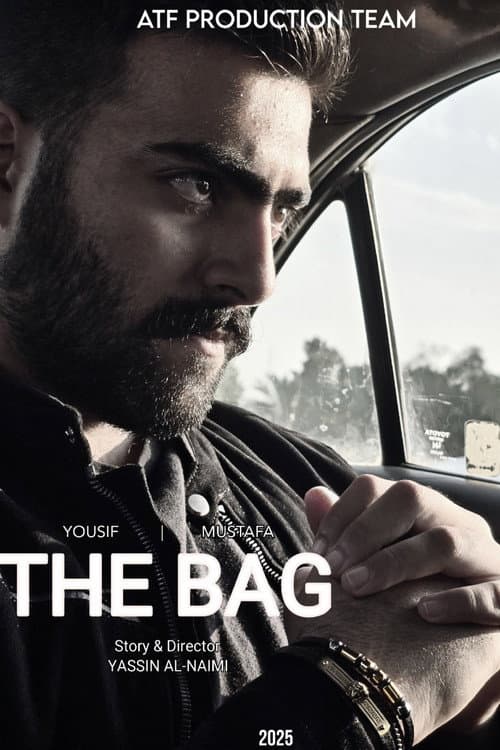Постер: The Bag