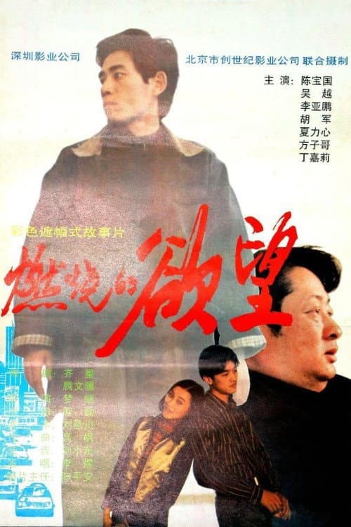 Постер: 燃烧的欲望