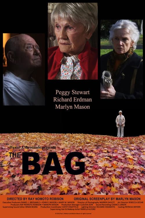 Постер: The Bag