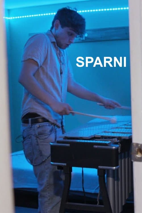 Постер: Sparni