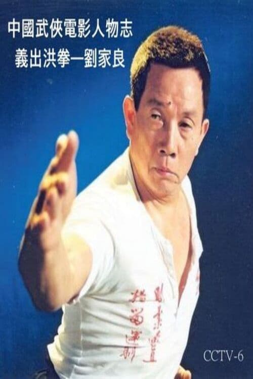 Постер: 中國武俠電影人物志 義出洪拳 劉家良