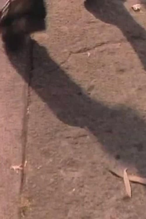 Постер: Pasos por la Ciudad