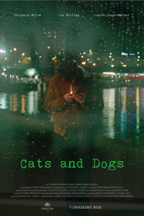 Постер: Cats and Dogs