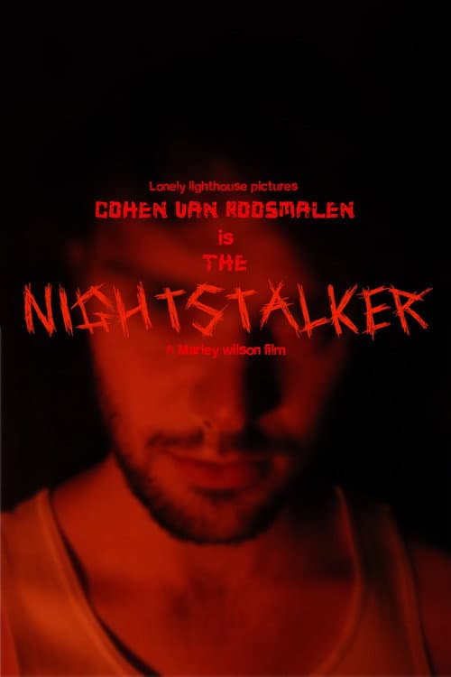 Постер: Nightstalker