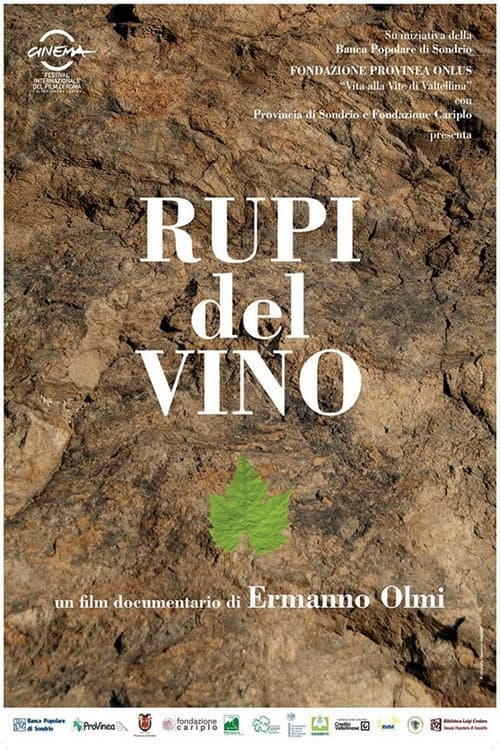 Постер: Rupi del vino