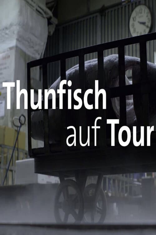 Постер: Thunfisch auf Tour