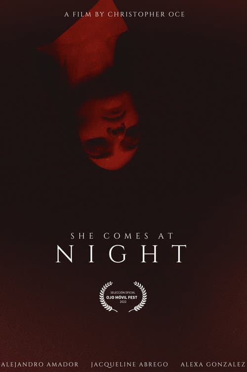 Постер: ELLA VIENE EN LA NOCHE