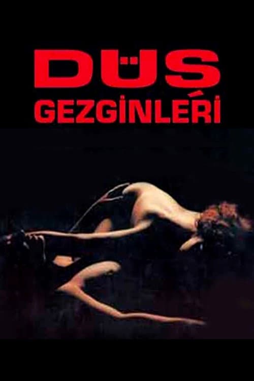 Постер: Düş Gezginleri