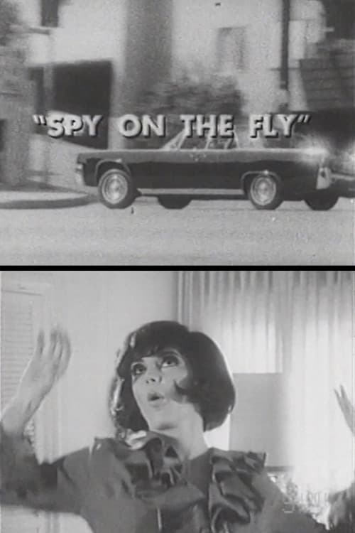 Постер: Spy on the Fly