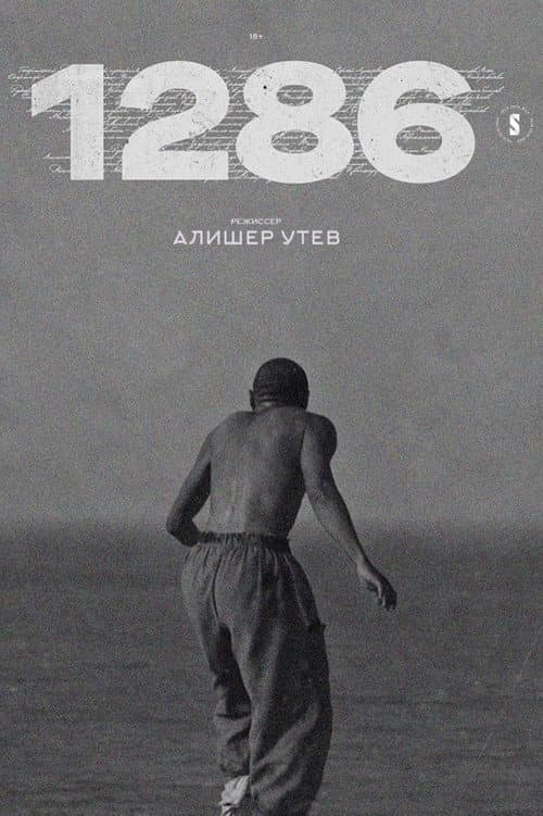 Постер: 1286