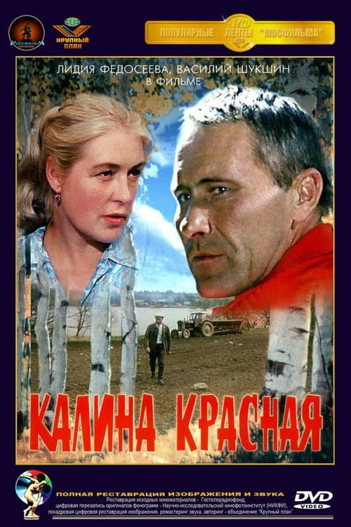 Кадр 5