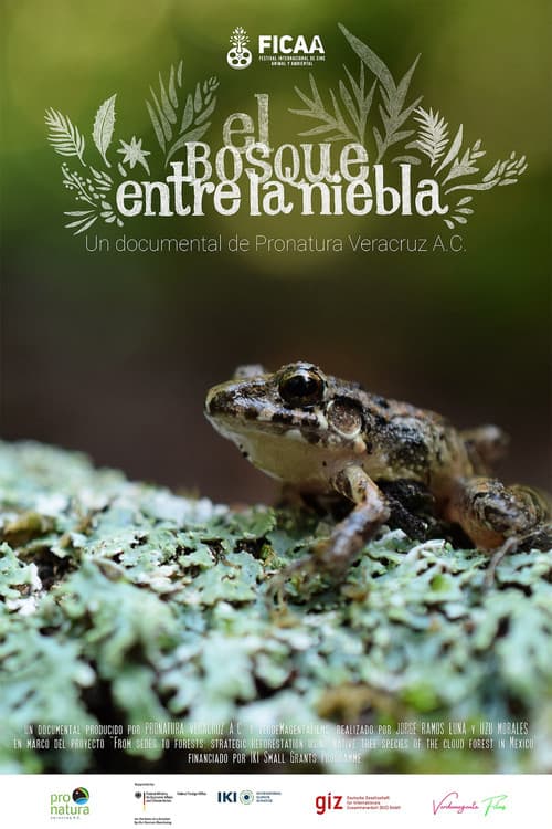 Постер: El bosque entre la niebla