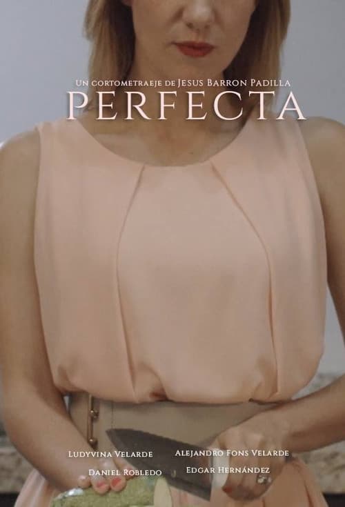 Постер: Perfecta